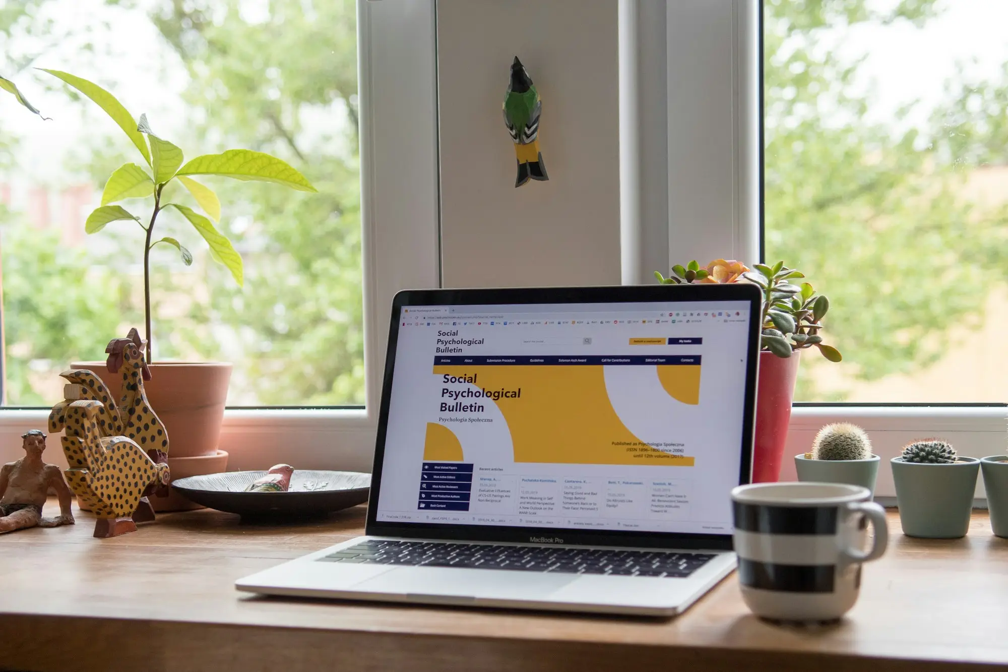 Laptop showing a report on a wooden desk with pot plants